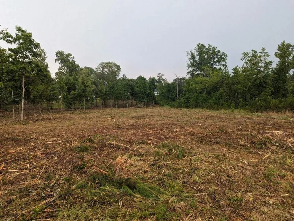 Local lawn care service experts serving Dennard, AR - Strickland Land Services