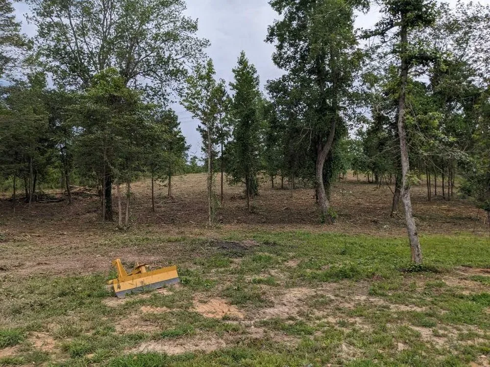 Local landscape design for beautiful yards across Dennard, AR - Strickland Land Services