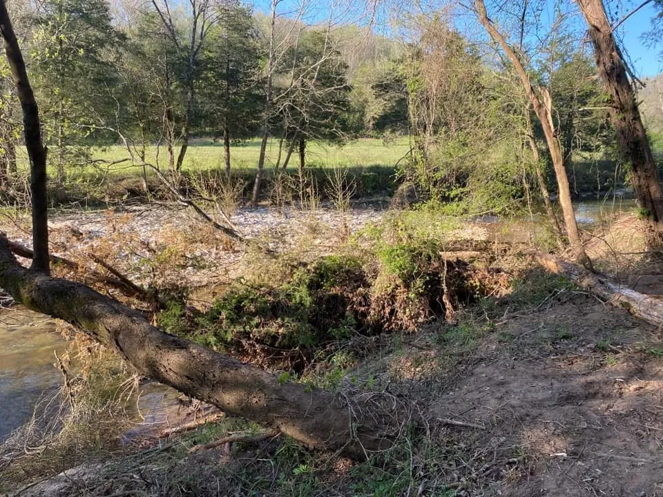 Custom landscaping services near you across Dennard, AR - Strickland Land Services