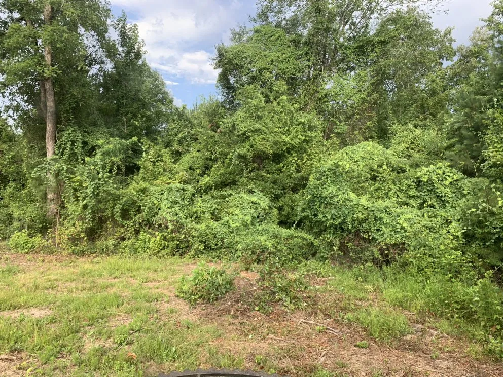 Trusted landscape installation experts serving Dennard, AR - Strickland Land Services
