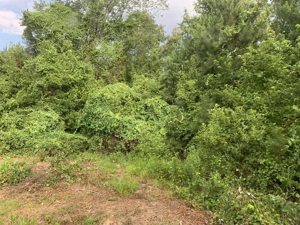 Local garden landscaping in Dennard, AR by Strickland Land Services