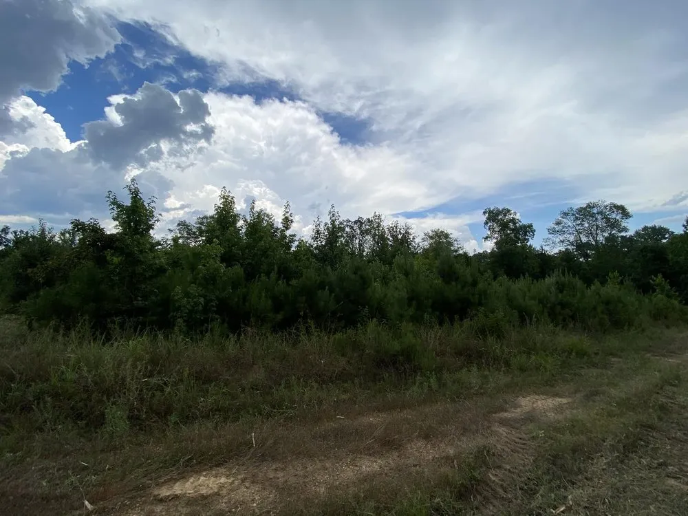 Reliable residential landscaping with custom design in Dennard, AR by Strickland Land Services