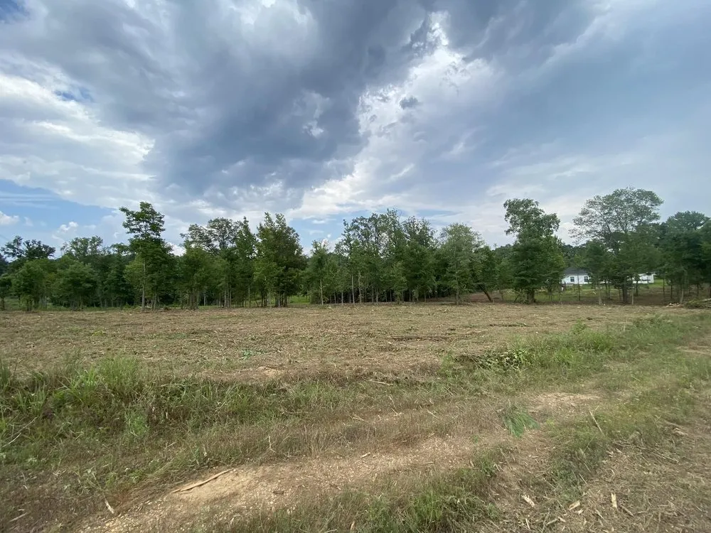 Expert yard maintenance in Dennard, AR by Strickland Land Services