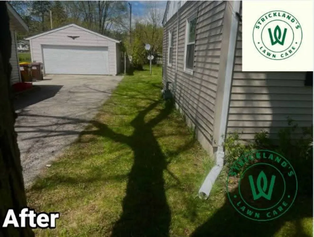 Expert yard cleanup service near you across Rockford, IL - Strickland Lawn Care