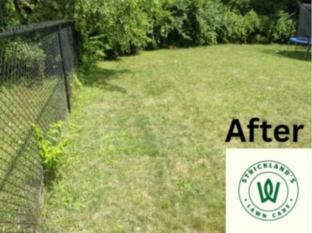 Professional landscape installation near you across Rockford, IL - Strickland Lawn Care