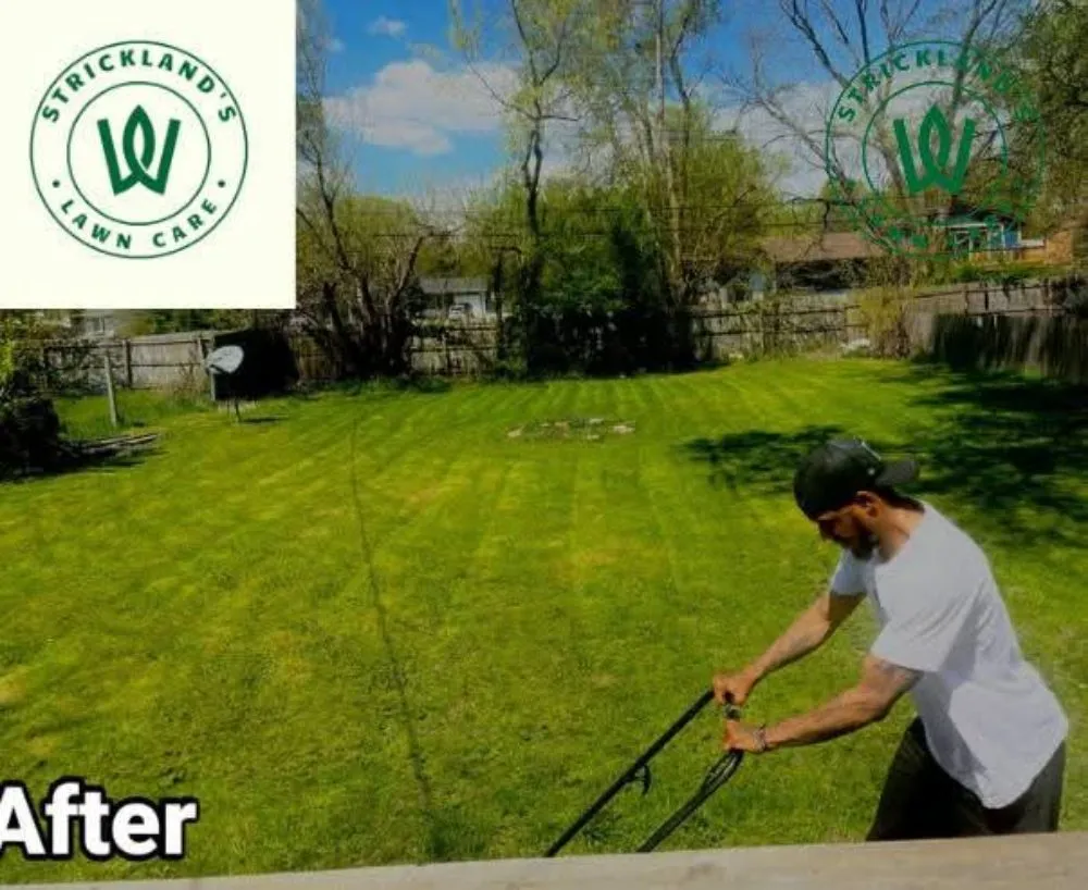 Local landscape design for beautiful yards across Rockford, IL - Strickland Lawn Care