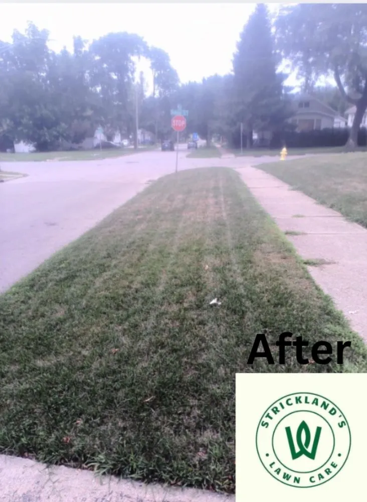 Top-rated landscape installation in Rockford, IL by Strickland Lawn Care