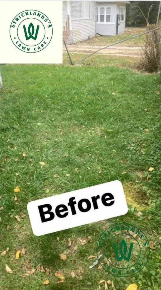 Top-rated landscape design for outdoor upgrades in Rockford, IL by Strickland Lawn Care