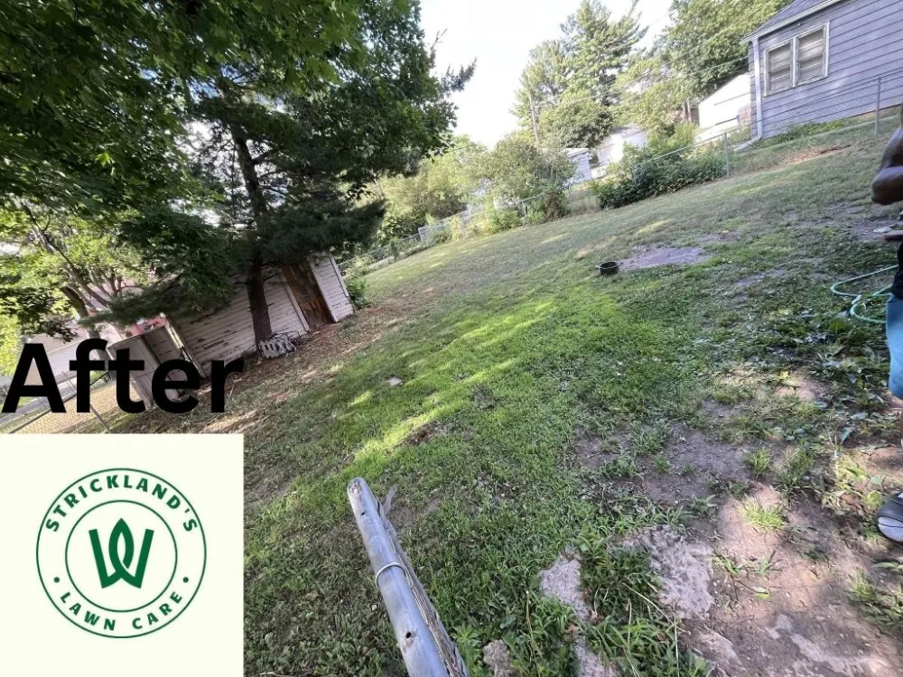 Top-rated outdoor landscaping for beautiful yards across Rockford, IL - Strickland Lawn Care