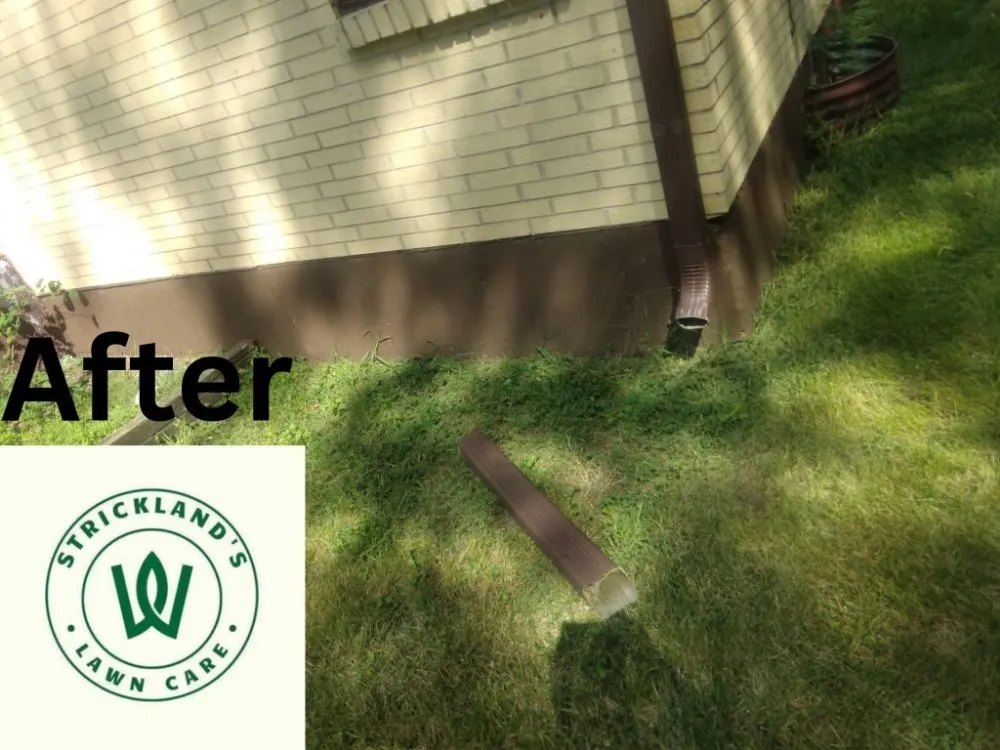 Expert landscape design in Rockford, IL by Strickland Lawn Care