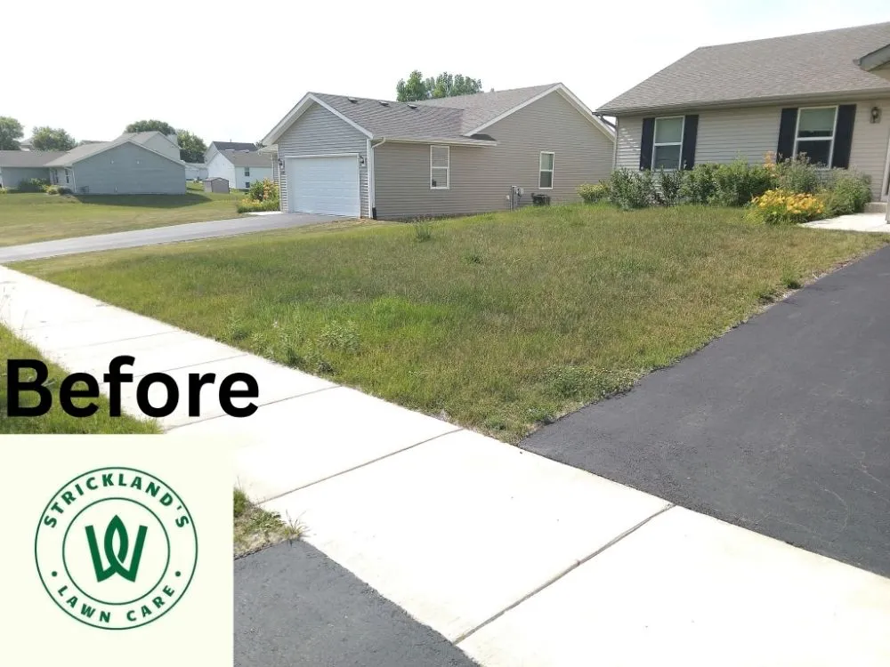 Professional lawn mowing service in Rockford, IL by Strickland Lawn Care
