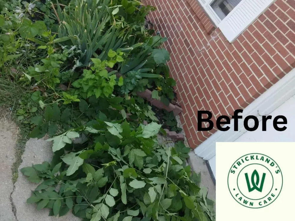 Professional landscaping services in Rockford, IL - Strickland Lawn Care