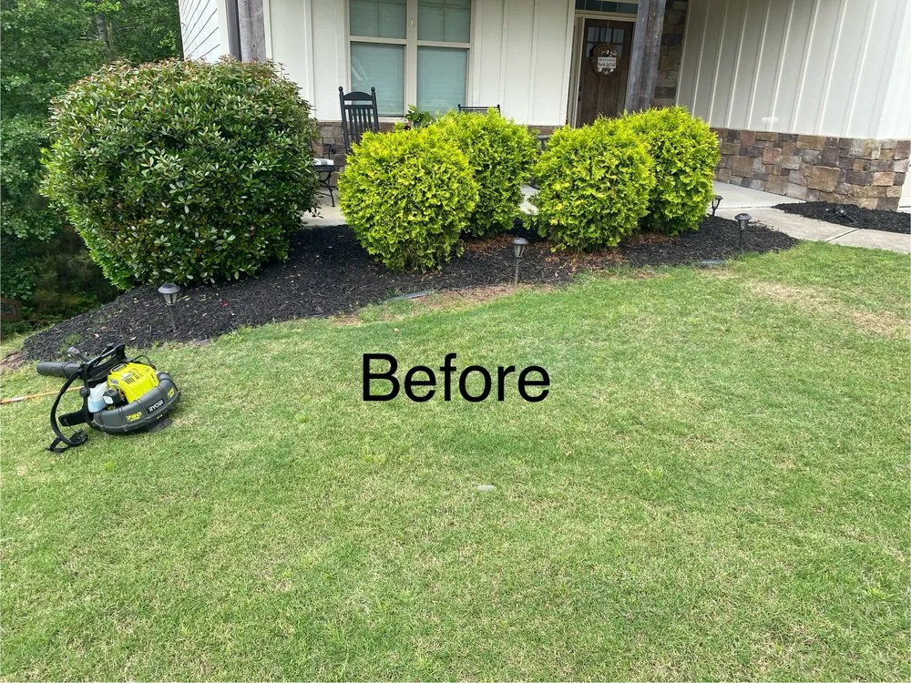 Local yard maintenance experts serving Holly Springs, GA - Strickland Maintenance