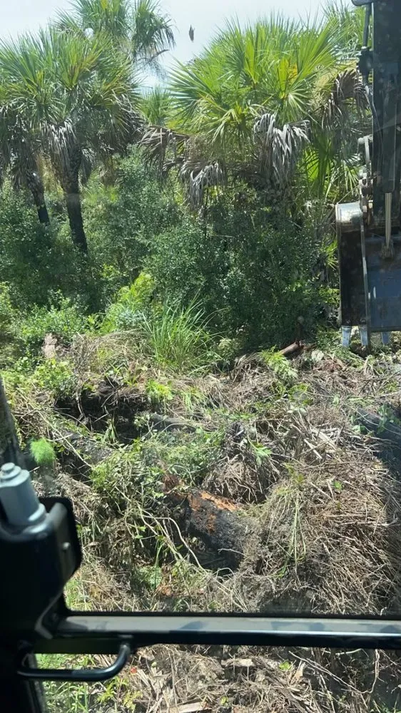 Top-rated residential landscaping experts serving Naples, FL - Strickland Site Management