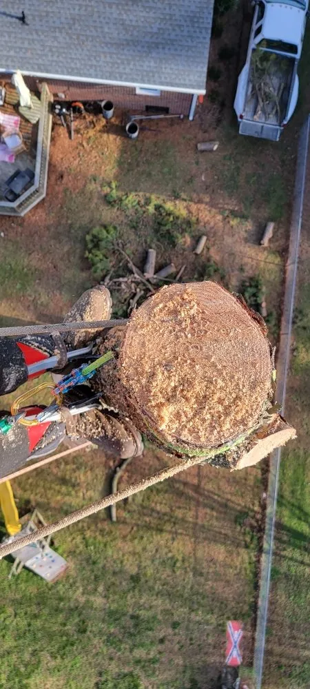 Trusted residential landscaping in Poquoson, VA - Strickland's Outdoor Solutions