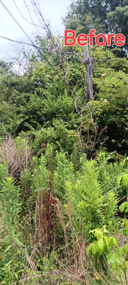 Local outdoor landscaping in Hillsboro, AL by Stricklin Lawn Care