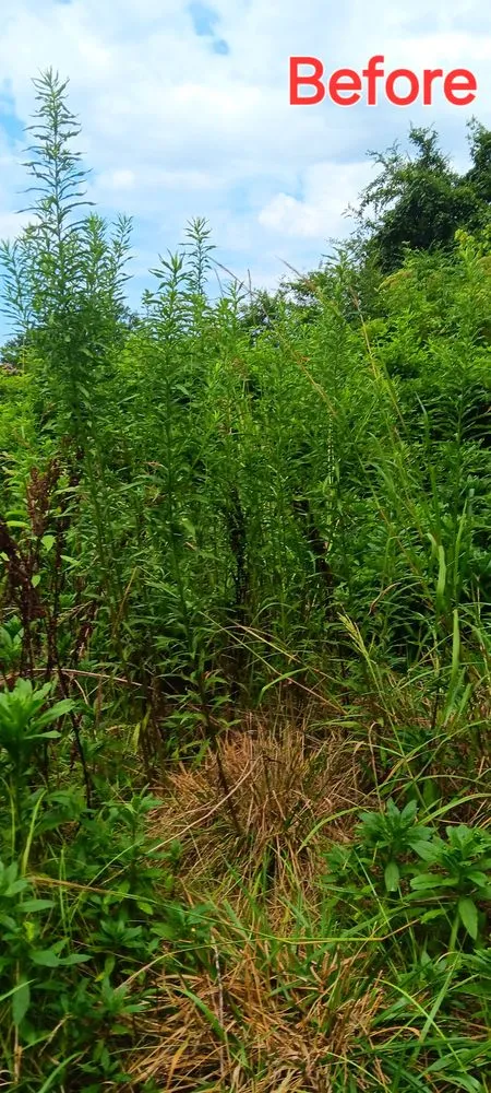 Local garden landscaping in Hillsboro, AL by Stricklin Lawn Care