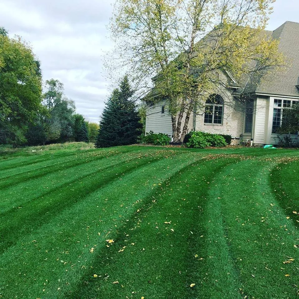 Reliable residential landscaping experts serving Mequon, WI - Strictly Green