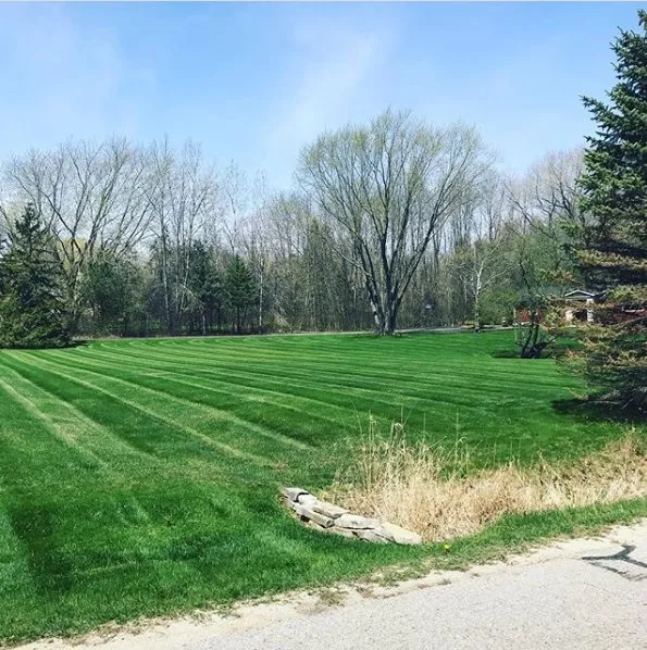Top-rated yard cleanup service near you across Mequon, WI - Strictly Green