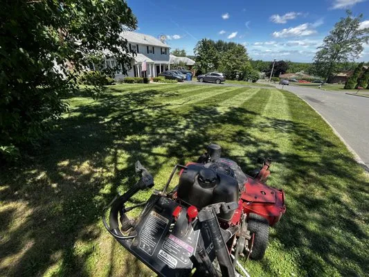 Strictly Landscaping Logo