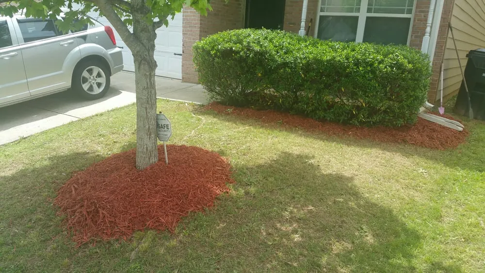 Custom landscape design in Jonesboro, GA by Strictly Lions