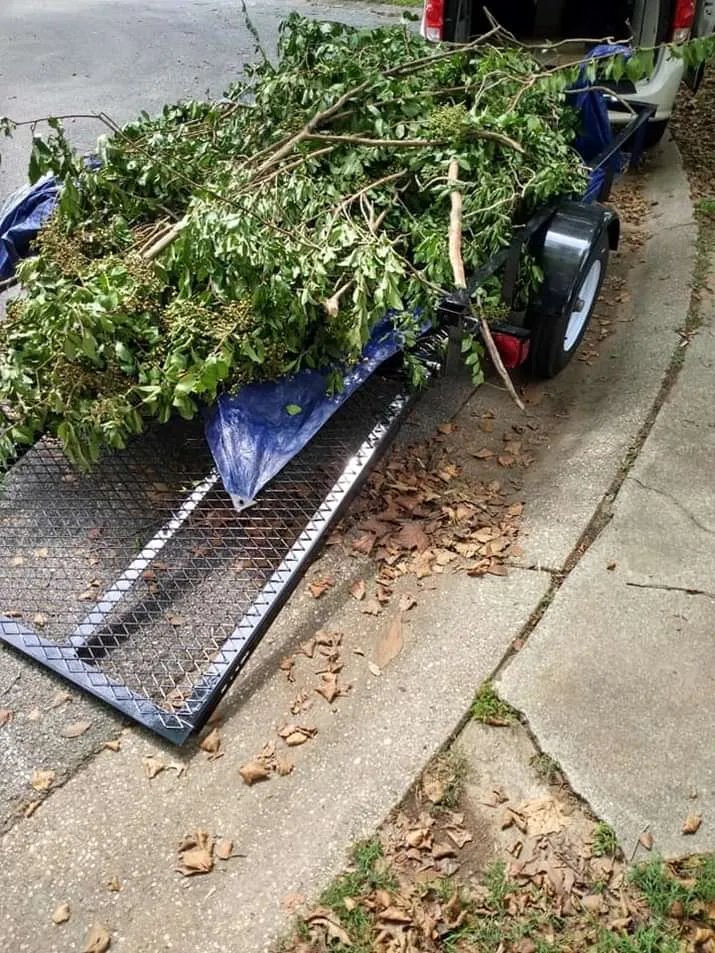 Local landscaping services for beautiful yards across Columbia, MD - Strictly Roots Landscaping