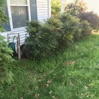 Custom landscape installation experts serving Columbia, MD - Strictly Roots Landscaping