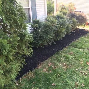 Affordable residential landscaping for year-round maintenance in Columbia, MD by Strictly Roots Landscaping