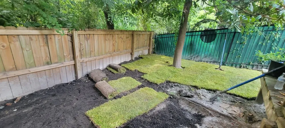 Custom landscape design for year-round maintenance across New Bern, NC - String Trimmers