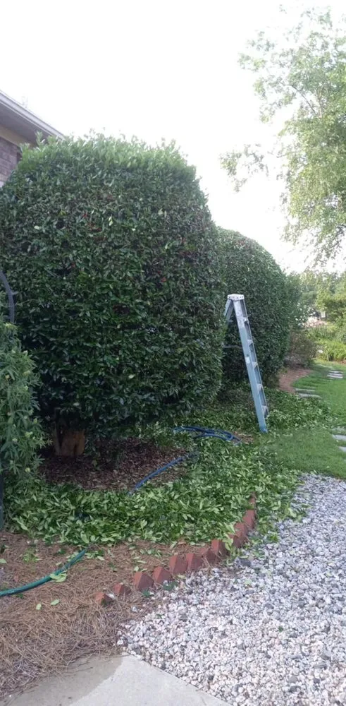 Reliable yard cleanup service with custom design across New Bern, NC - String Trimmers
