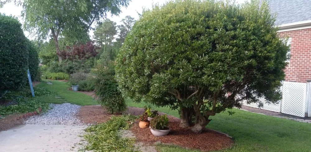 Professional residential landscaping for year-round maintenance across New Bern, NC - String Trimmers