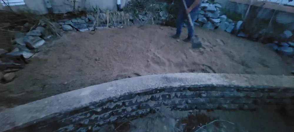 Affordable lawn care service in New Bern, NC by String Trimmers