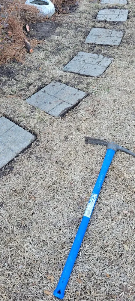 Top-rated yard cleanup service for homes across New Bern, NC - String Trimmers
