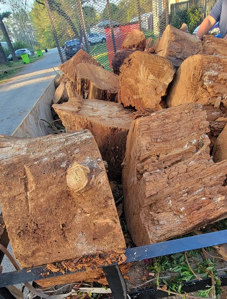 Professional residential landscaping near you in New Bern, NC by String Trimmers