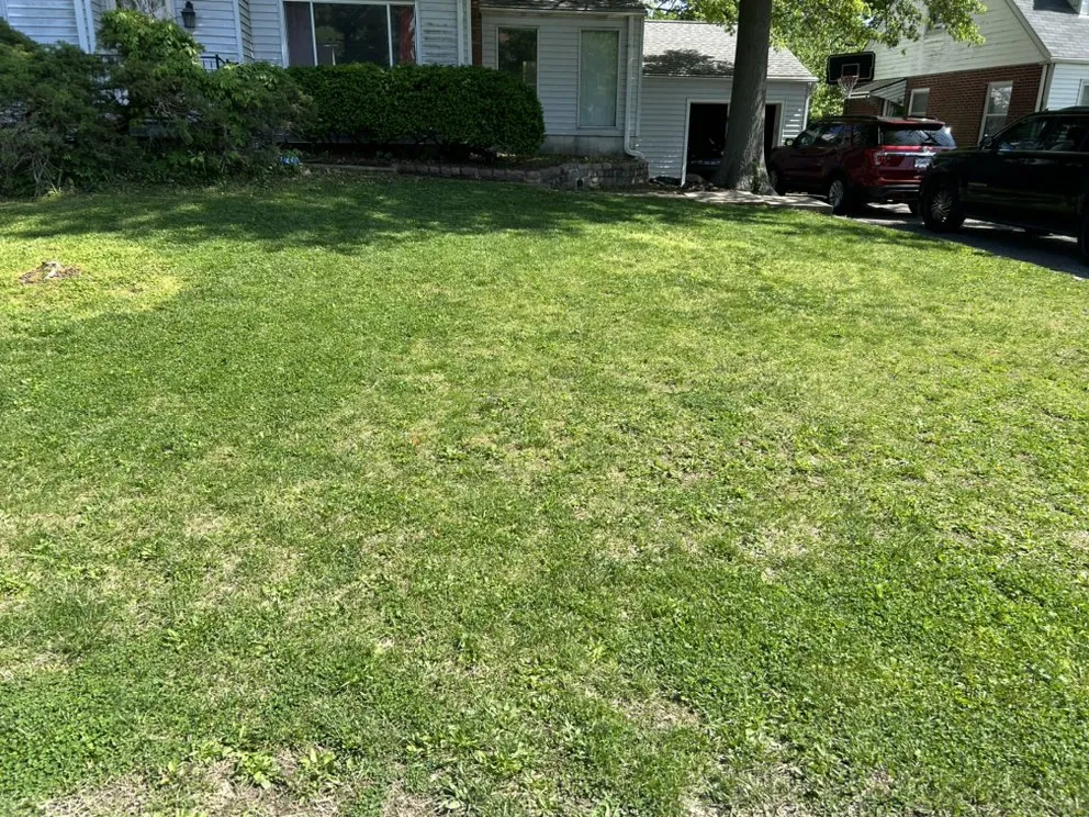 Local yard maintenance experts serving St. Louis, MO - Stringer Lawn Care