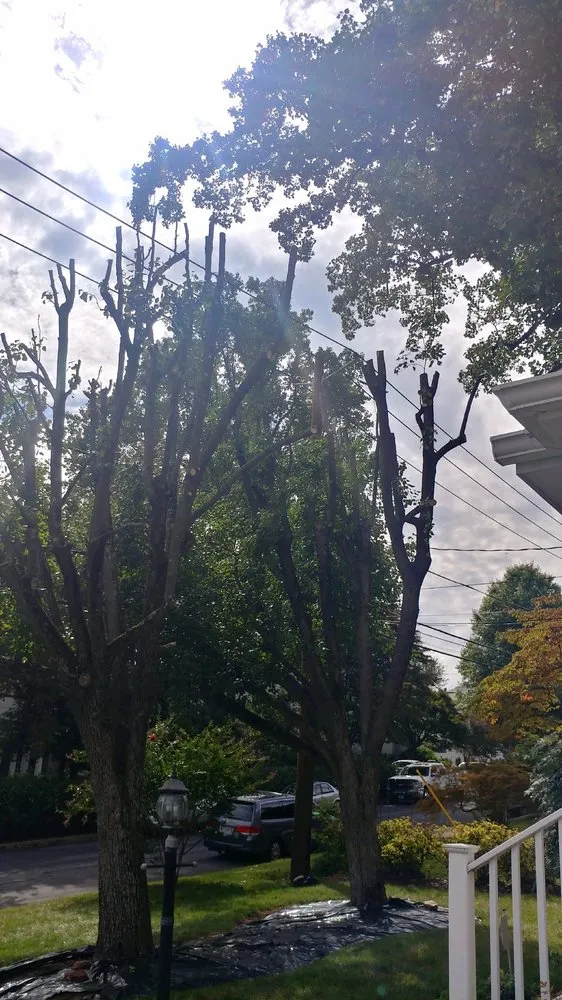 Custom lawn mowing service in Amissville, VA - Stringfellow's Tree Service