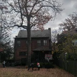 Expert yard cleanup service for residential properties across Amissville, VA - Stringfellow's Tree Service