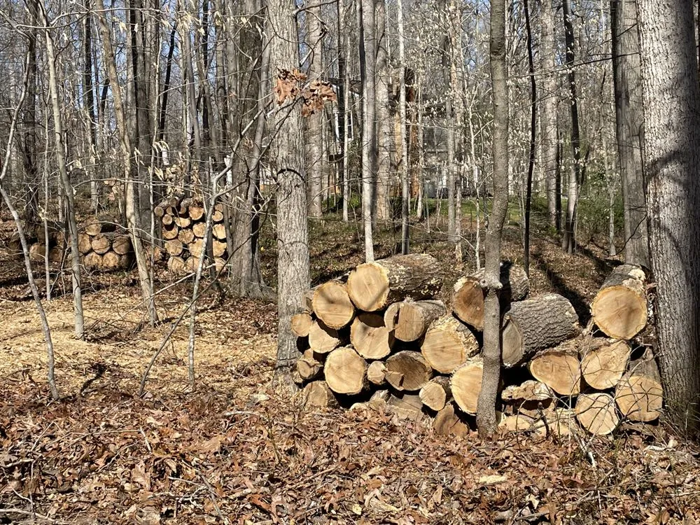 Reliable yard maintenance in Amissville, VA by Stringfellow's Tree Service