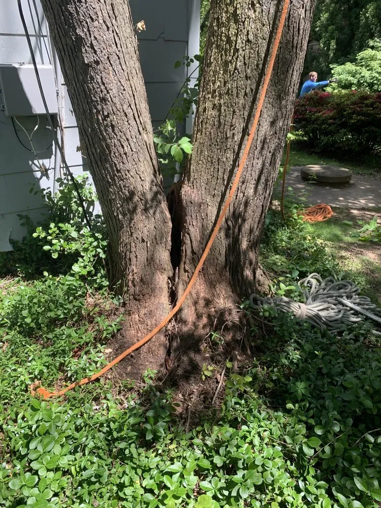 Local residential landscaping for homes across Amissville, VA - Stringfellow's Tree Service