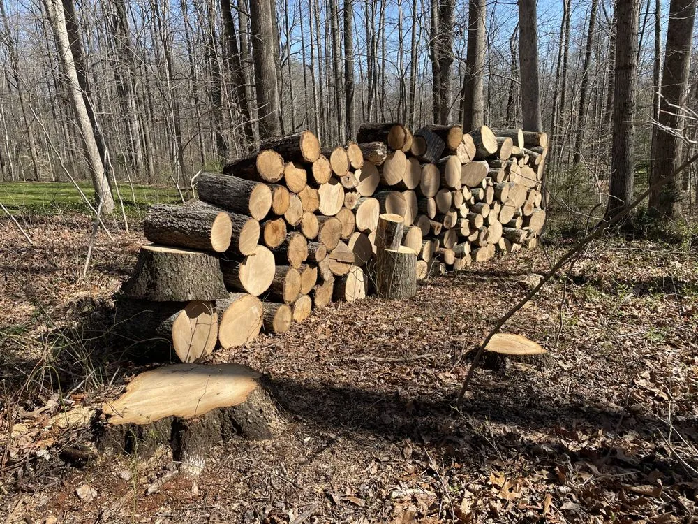 Affordable outdoor landscaping experts serving Amissville, VA - Stringfellow's Tree Service