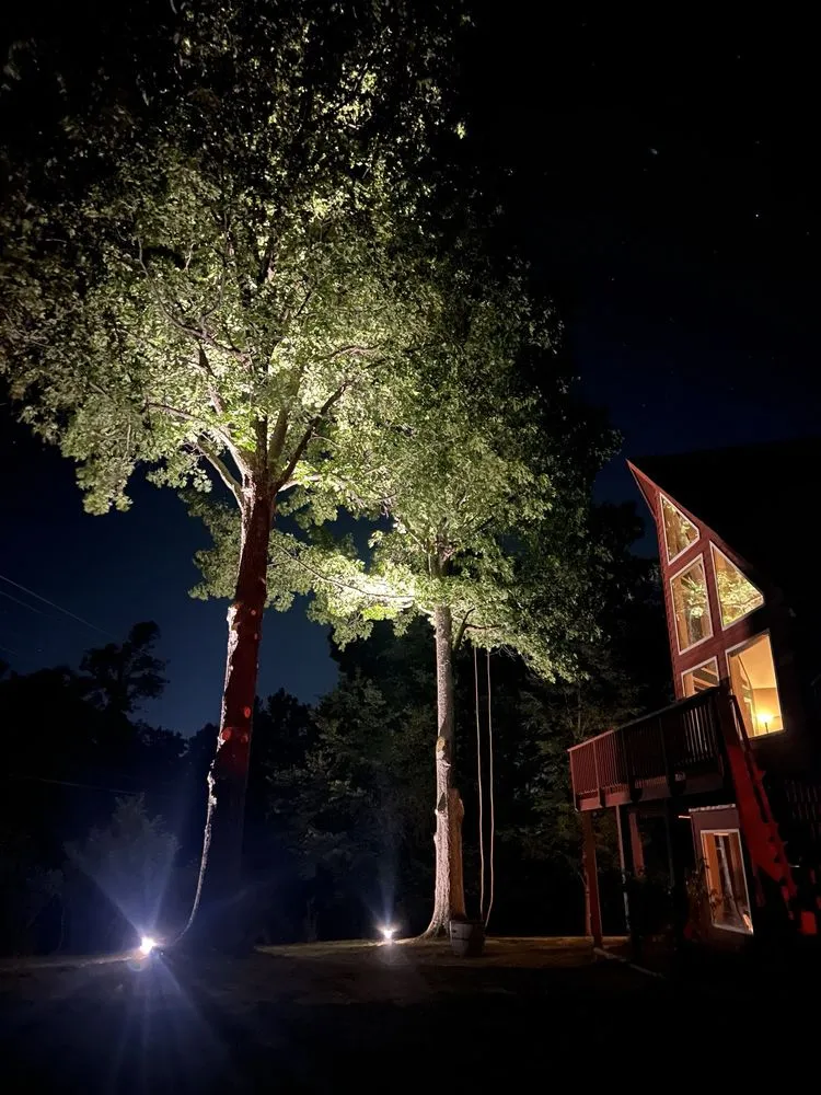 Expert yard cleanup service near you across Amissville, VA - Stringfellow's Tree Service