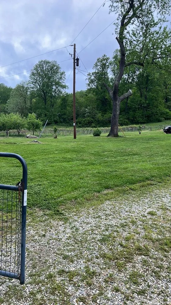 Trusted lawn mowing service experts serving Lynchburg, VA - Stripe 2 Spray Pressure Washing & LawnCare