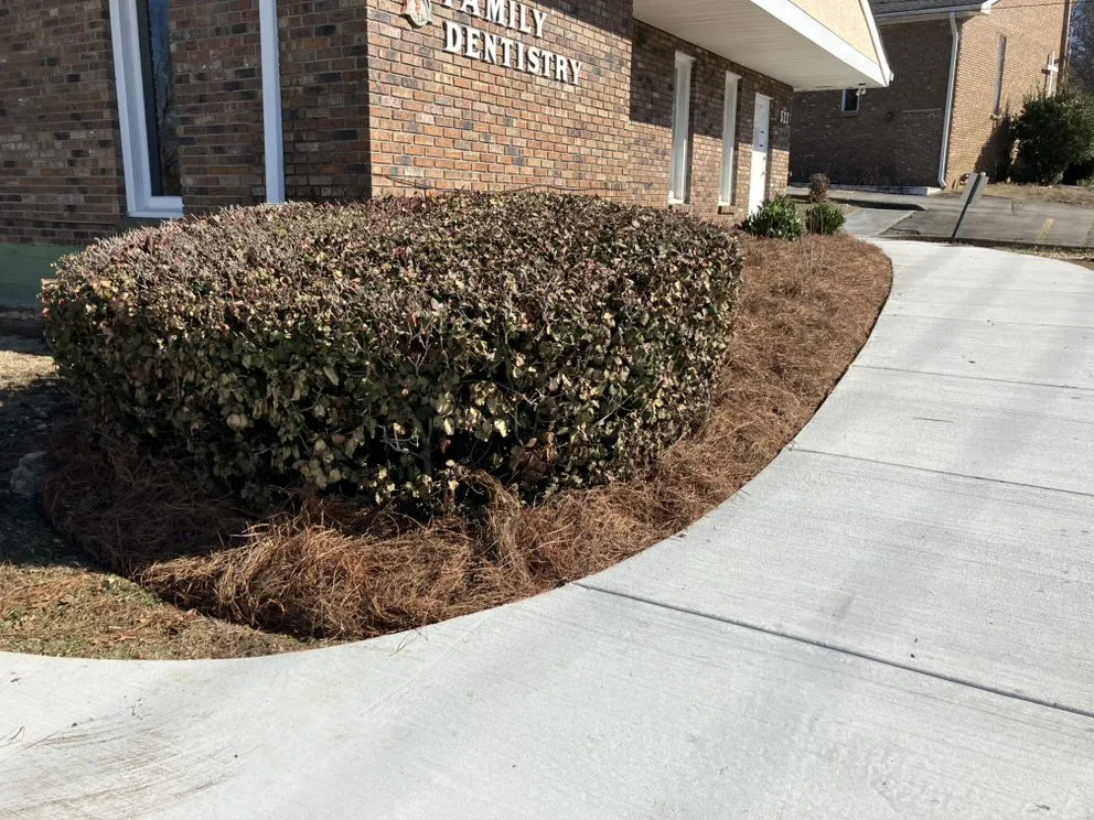 Affordable landscape design for homes across Nashville, TN - Stripe City Landscaping and LawnCare