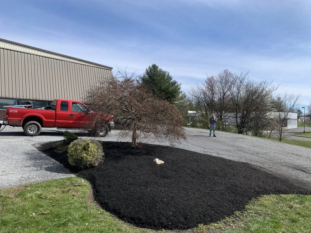 Top-rated residential landscaping for outdoor upgrades across Reading, PA - Stripe It Up Landscaping