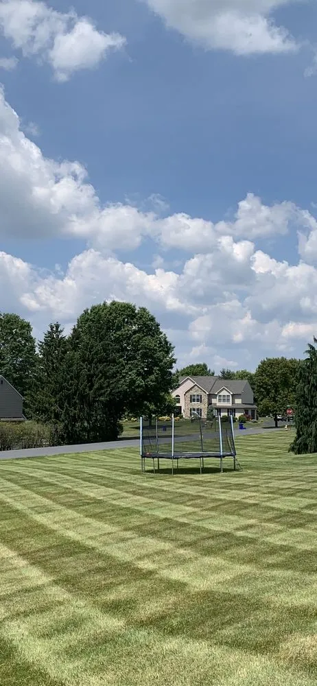 Top-rated yard maintenance near you across Reading, PA - Stripe It Up Landscaping