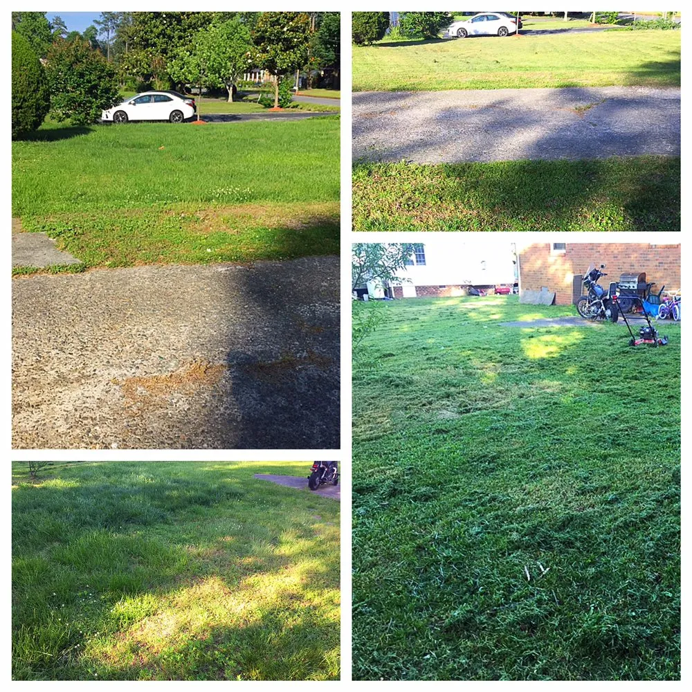 Expert landscaping services experts serving Bryans Road, MD - Stripe Maisuns