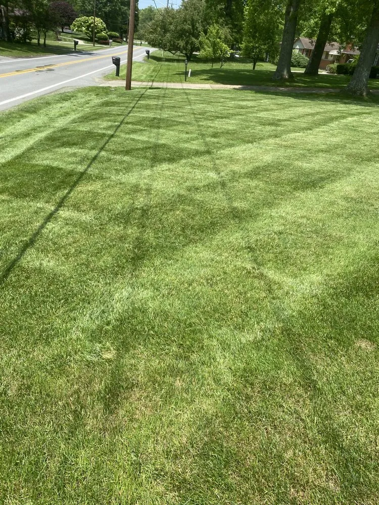 Affordable residential landscaping in Beaver, WV - Stripe Right & More