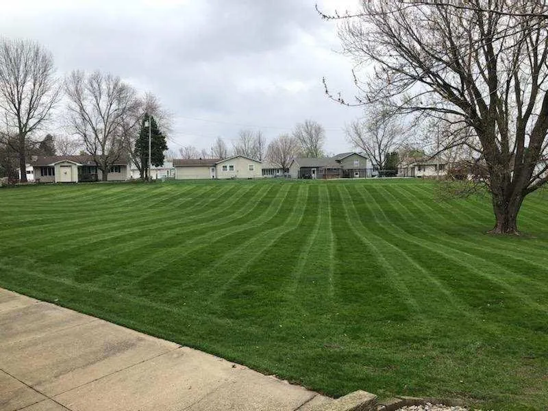 Local landscape design in Stanwood, IA by StripeDesign Pro Look Lawns