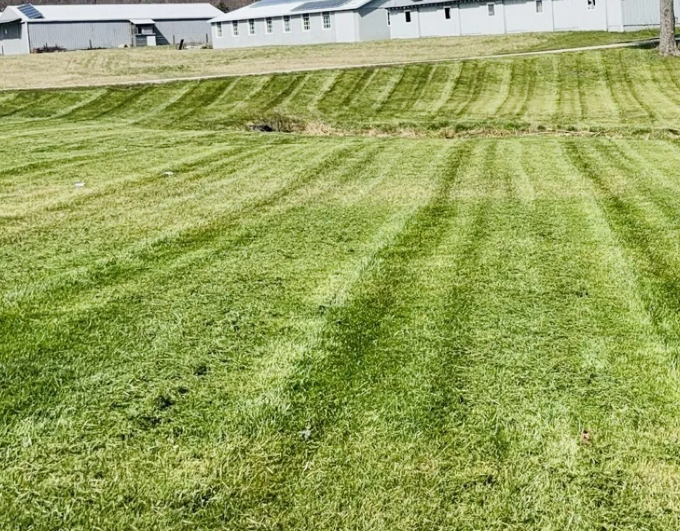 Expert landscape design in Columbus, IN - Stripers Lawn And Landscape