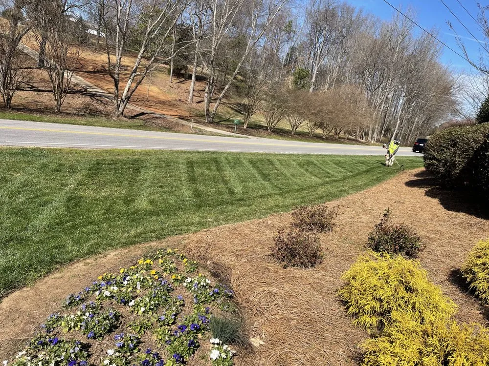 Professional landscape installation in Rock Hill, SC - Stripes And Diamonds